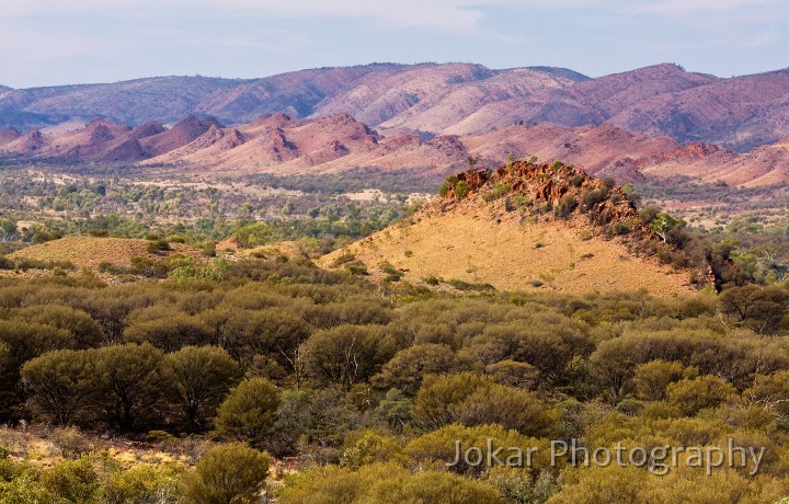 Larapinta_20080606_301 copy.jpg - View looking east from trig point, west of Ellery Creek